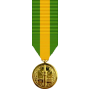 Mini Mexican Border Defense Medal
